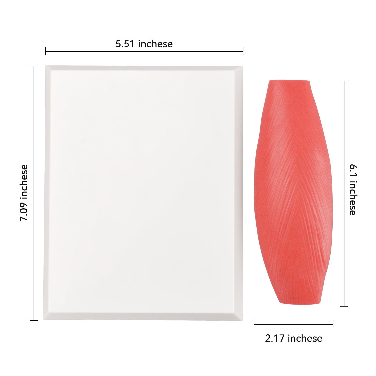The Size Info of 200g Human Muscle Replica