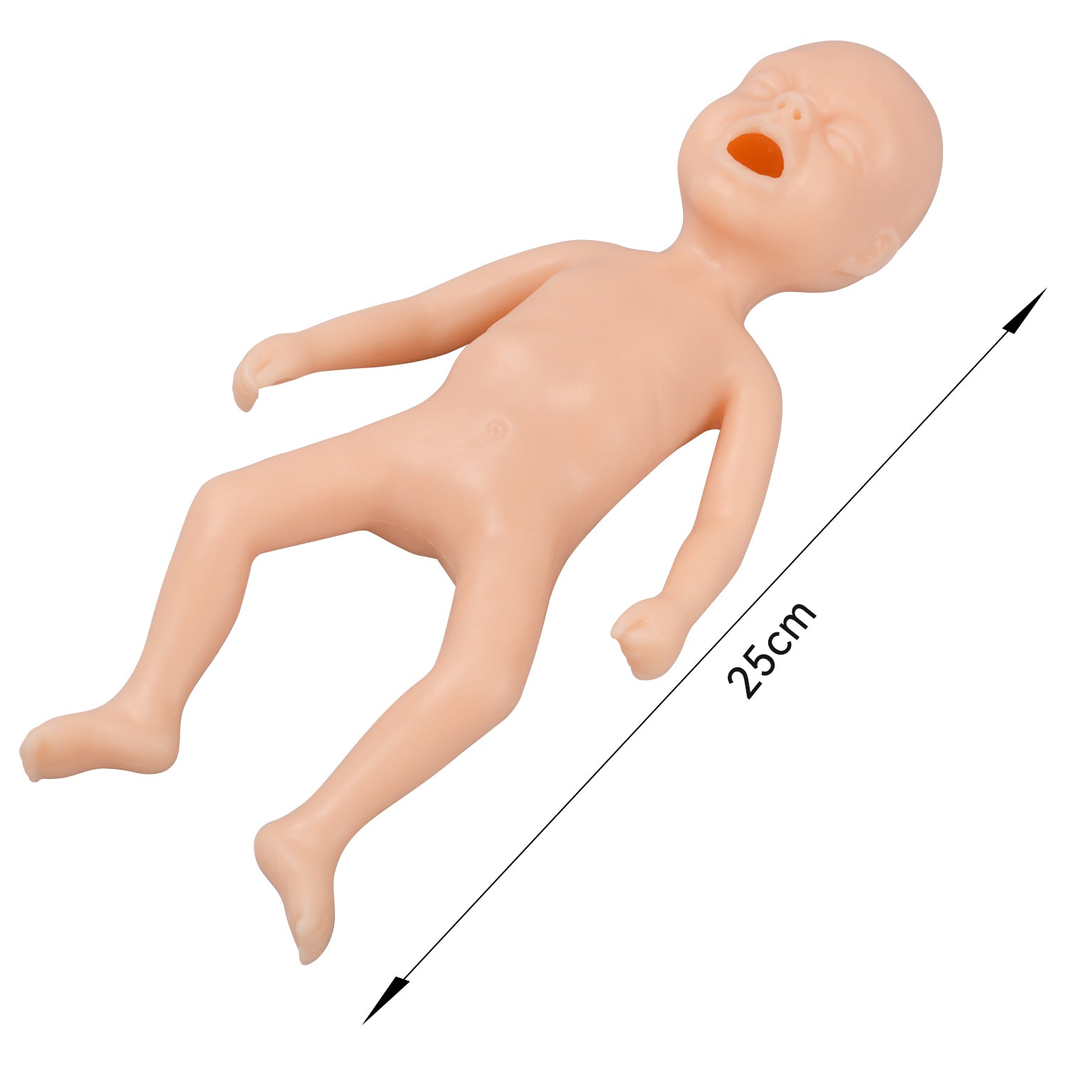 The Size Info of 24 Weeks Premature Infant Model for Training