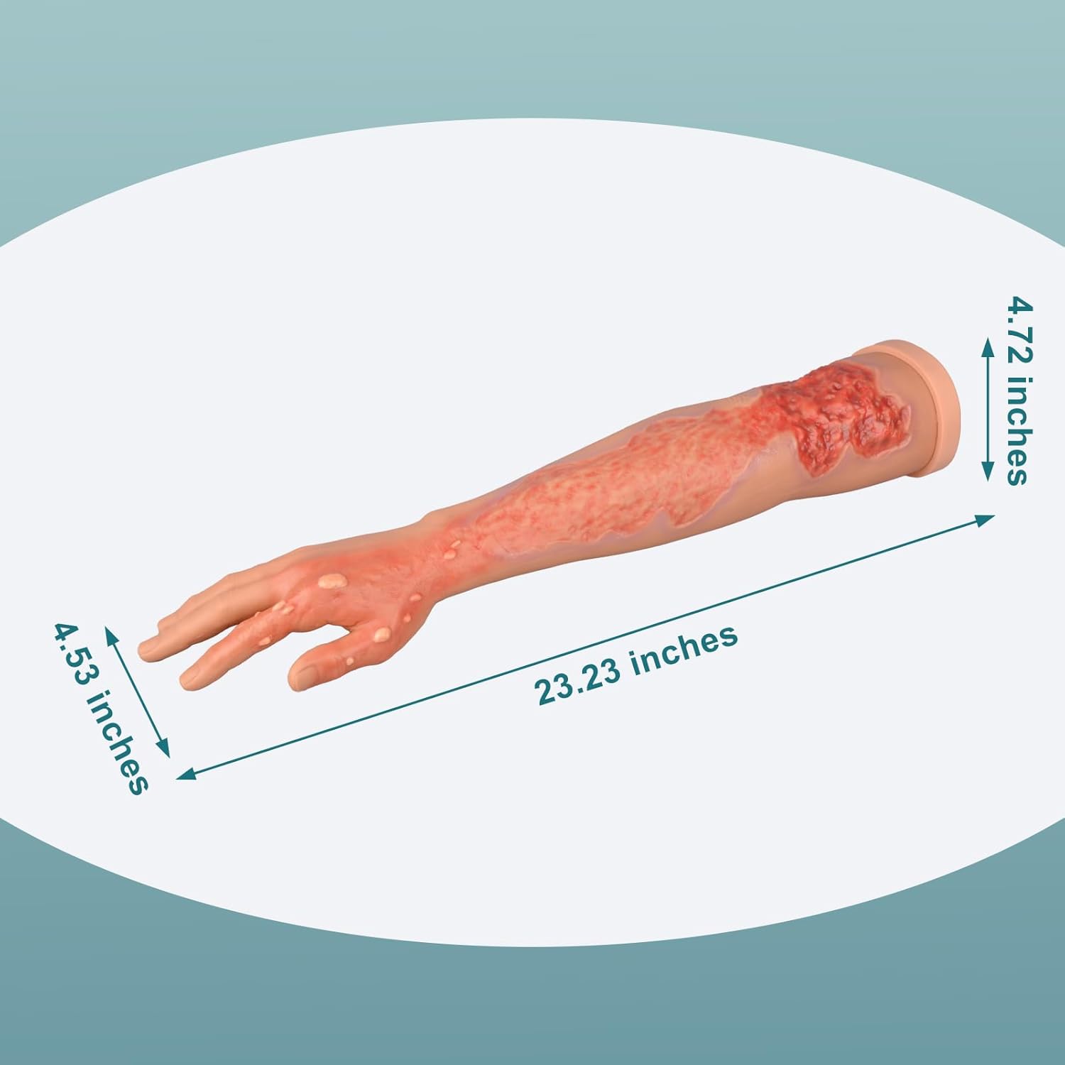 The Size Info of Burn Wound Training Arm Model
