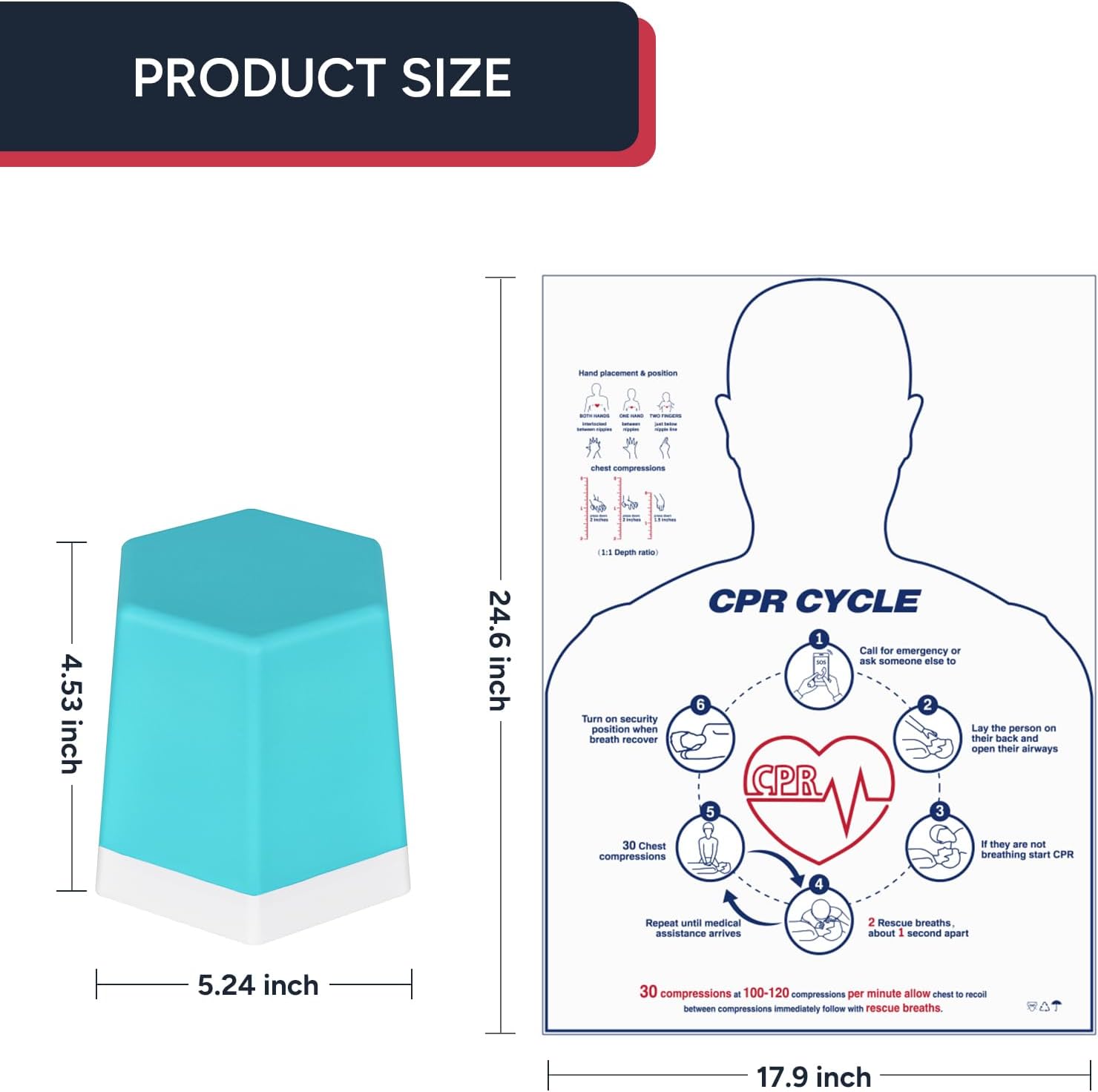 The Size Info of CPR Training Model & Mat