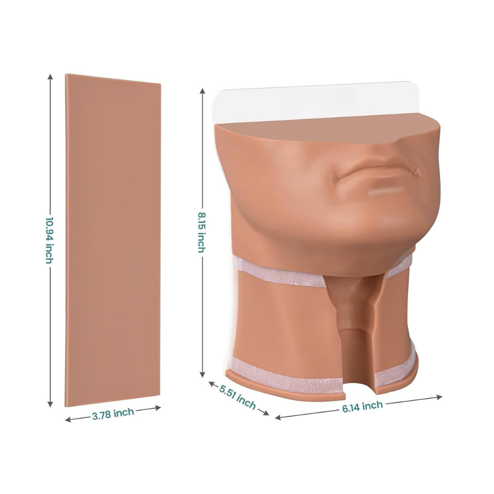 The Size Info of Cricothyrotomy Training Simulator