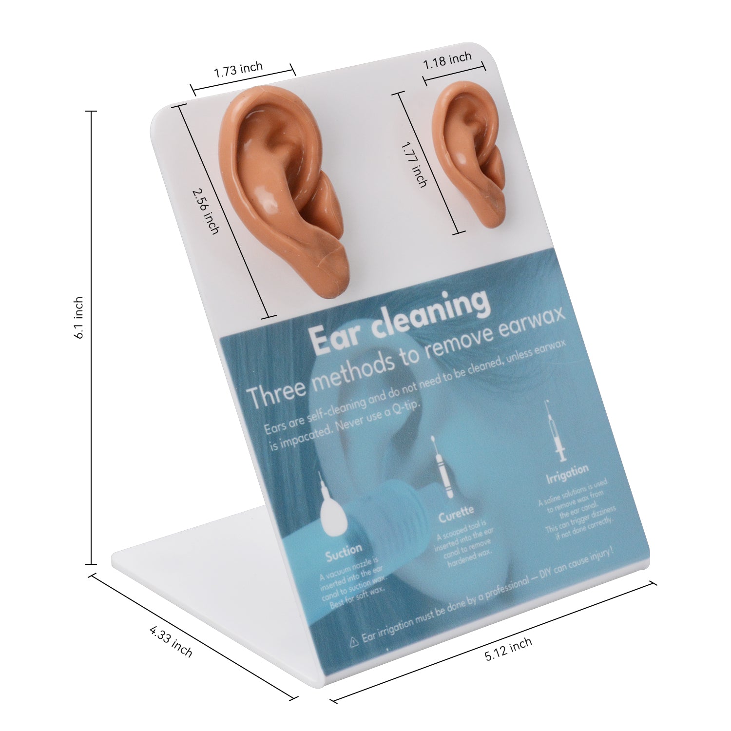 The Size Info of Ear Irrigation & Cerumen Removal Trainer