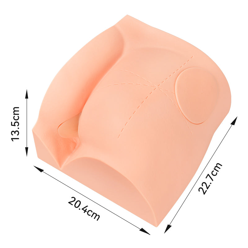 The Size Info of Gluteal Injection Training Model