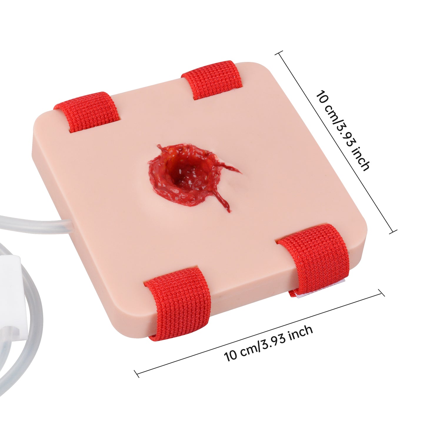 The Size Info of Gunshot Wound Care Training Model