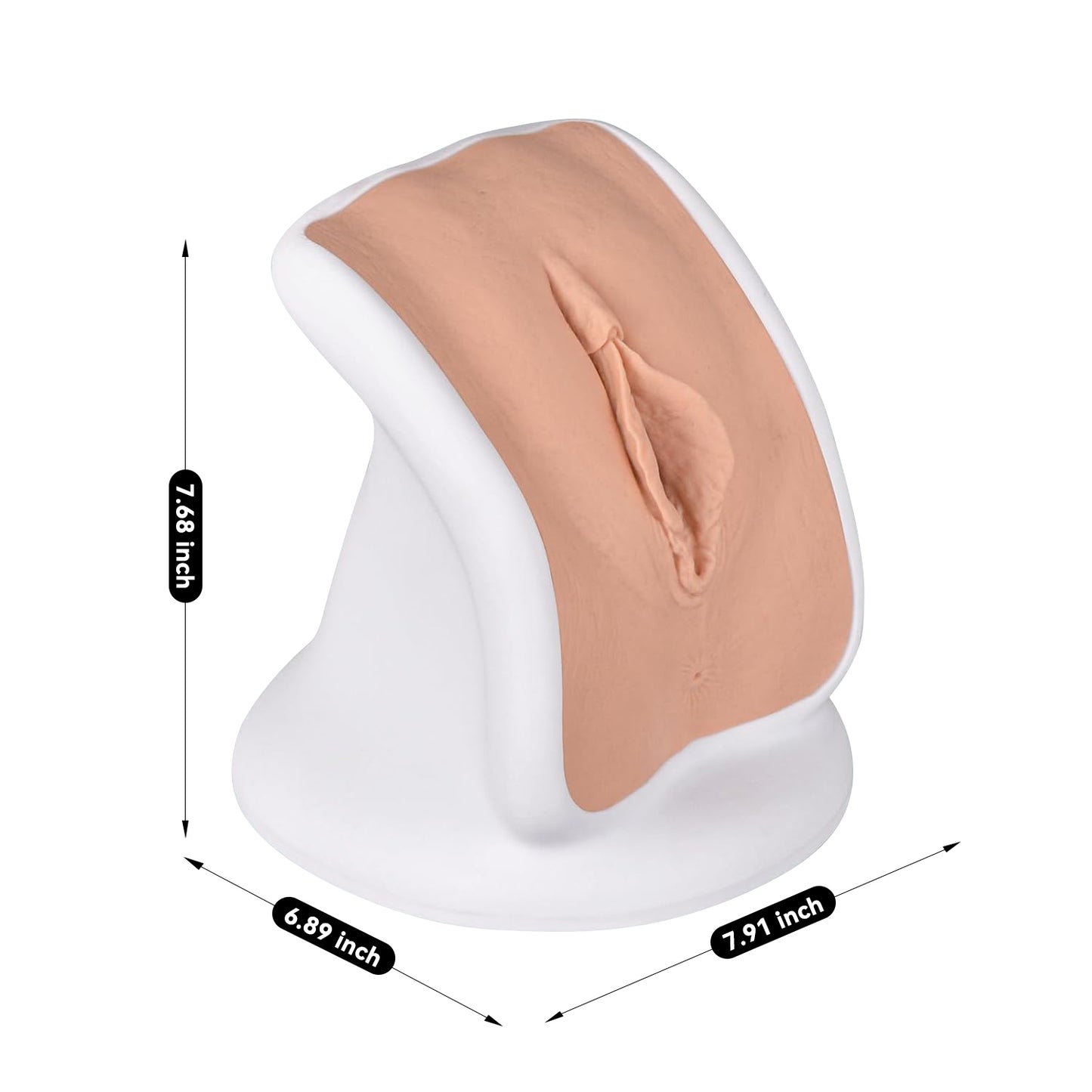 The Size Info of Gynecological GYN Examination Simulator