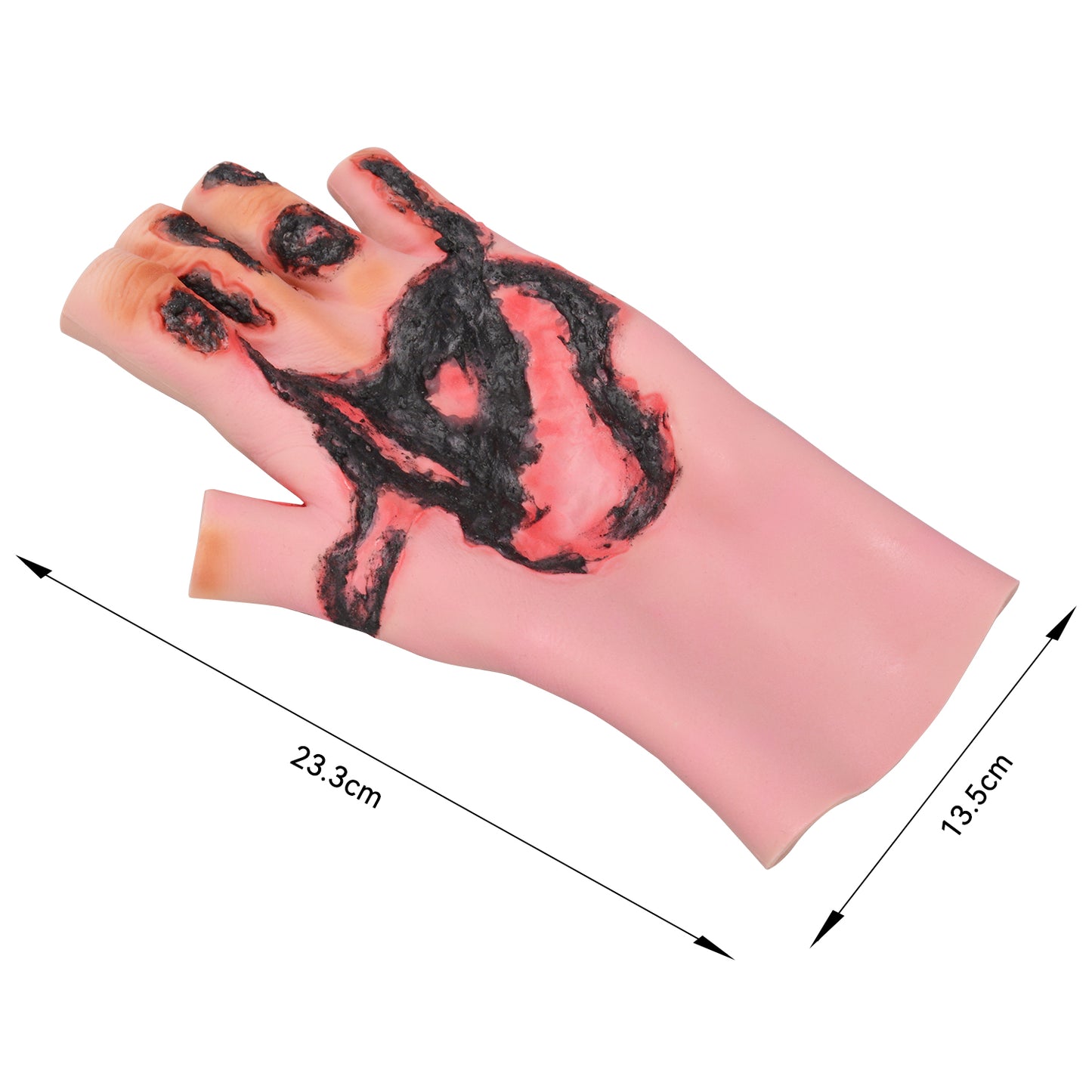 The Size Info of Hand Burn Training Model