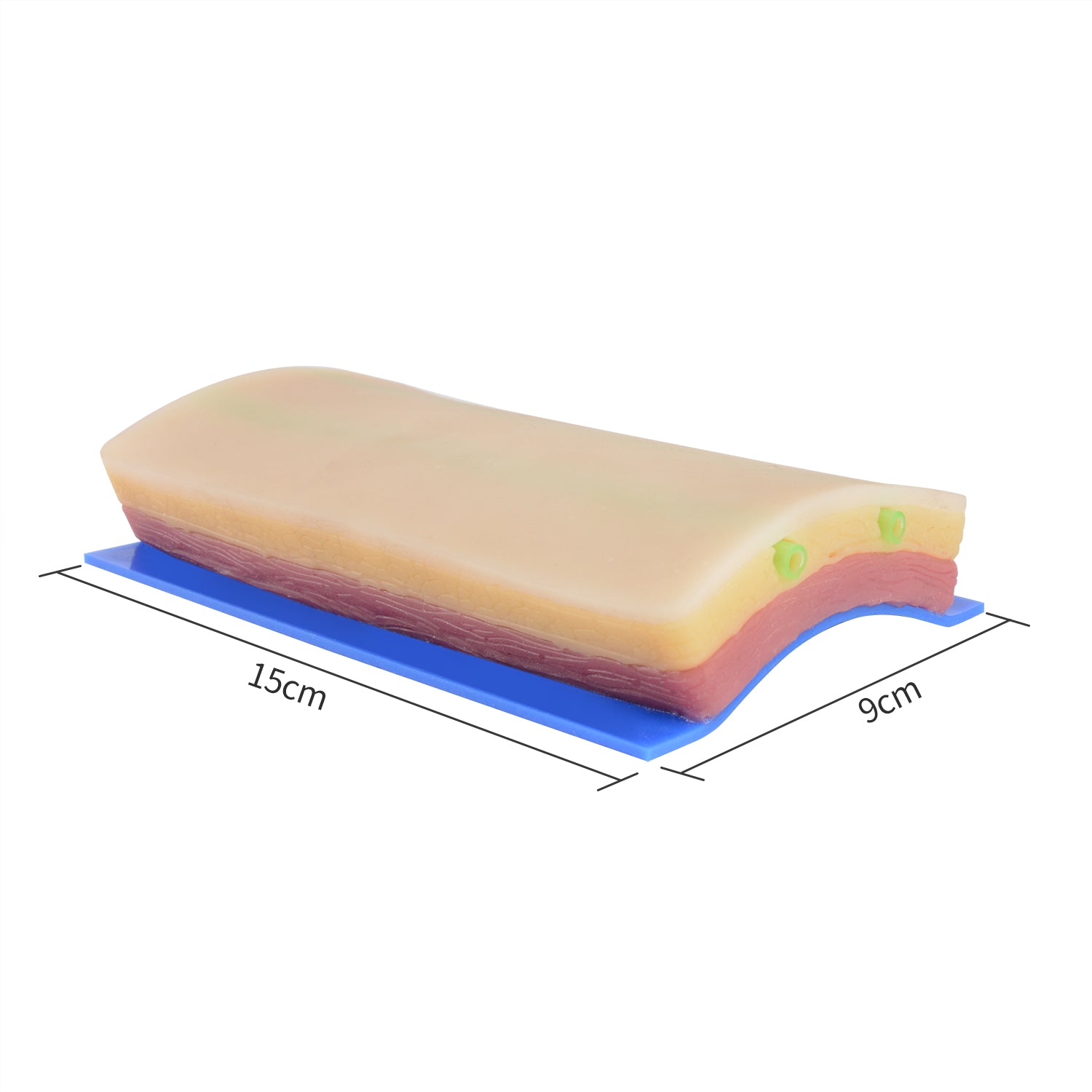 The Size Info of IV Venipuncture Injection Practice Pad