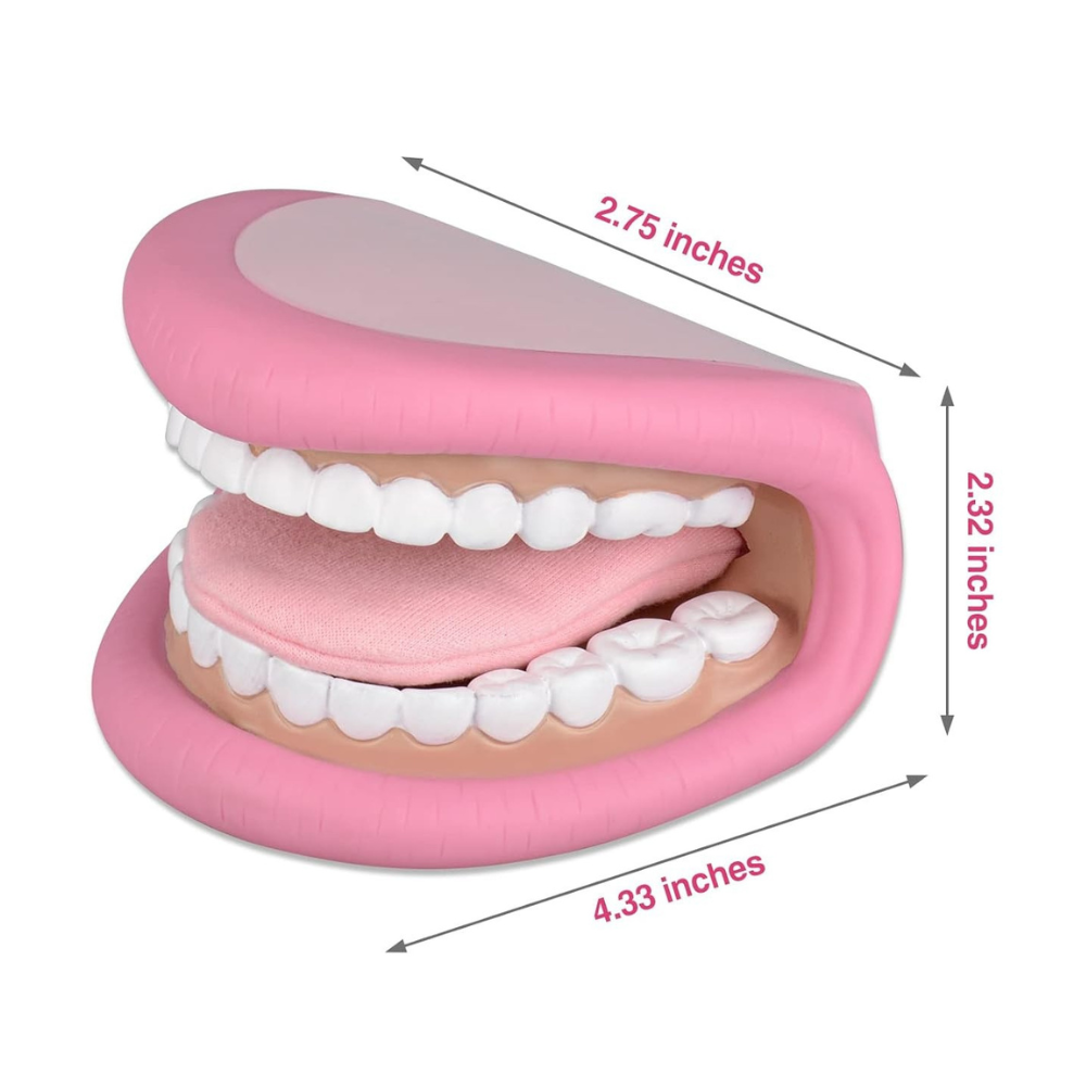 The Size Info of Mouth Model Puppets for Speech Therapy