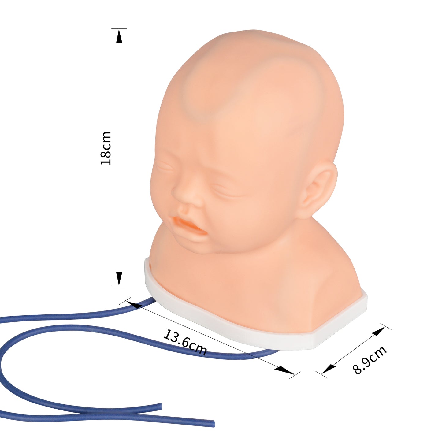The Size Info of Neonatal & Infant Scalp Venipuncture Head Trainer