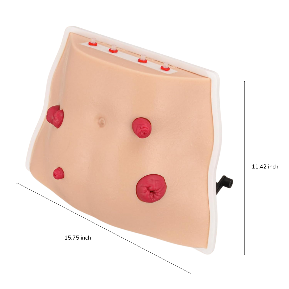 The Size Info of Ostomy Care Training Model