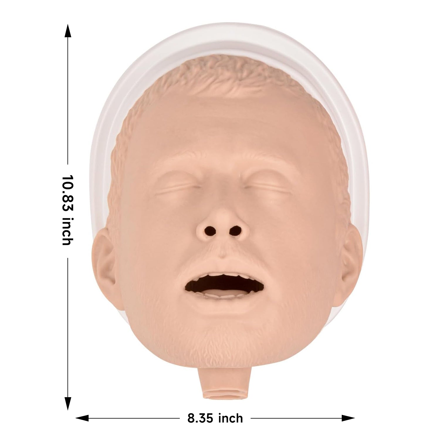 The Size Info of Portable Adult Airway Management Trainer
