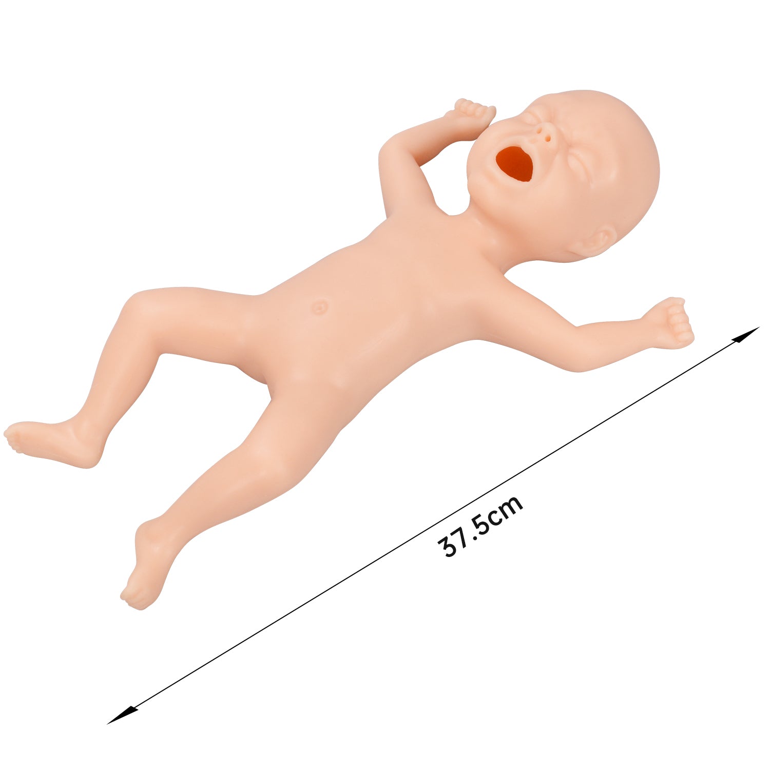 The Size Info of Premature Infant Care Mannequin