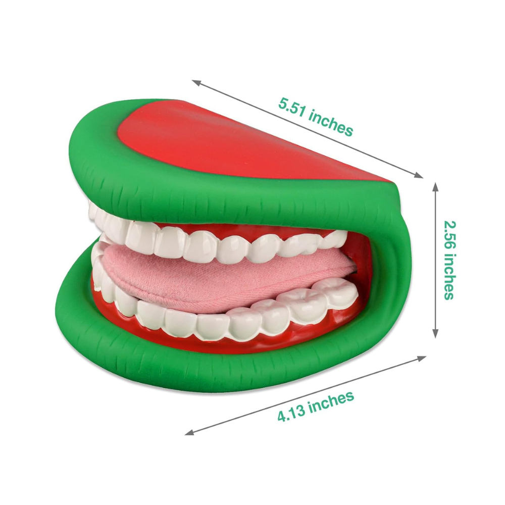 The Size Info of Speech Therapy Mouth Teeth Puppet