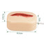The Size Information of Laceration Wound Trainer