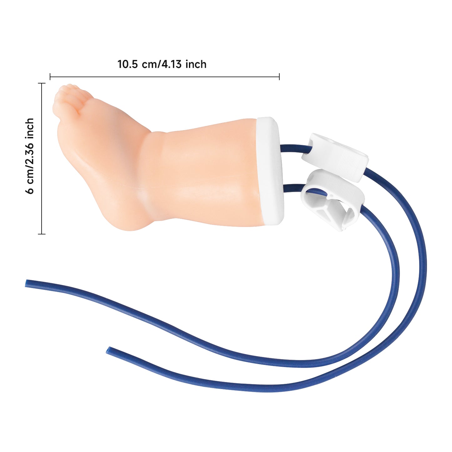 The Size and Characteristic Info of Infant Leg Model