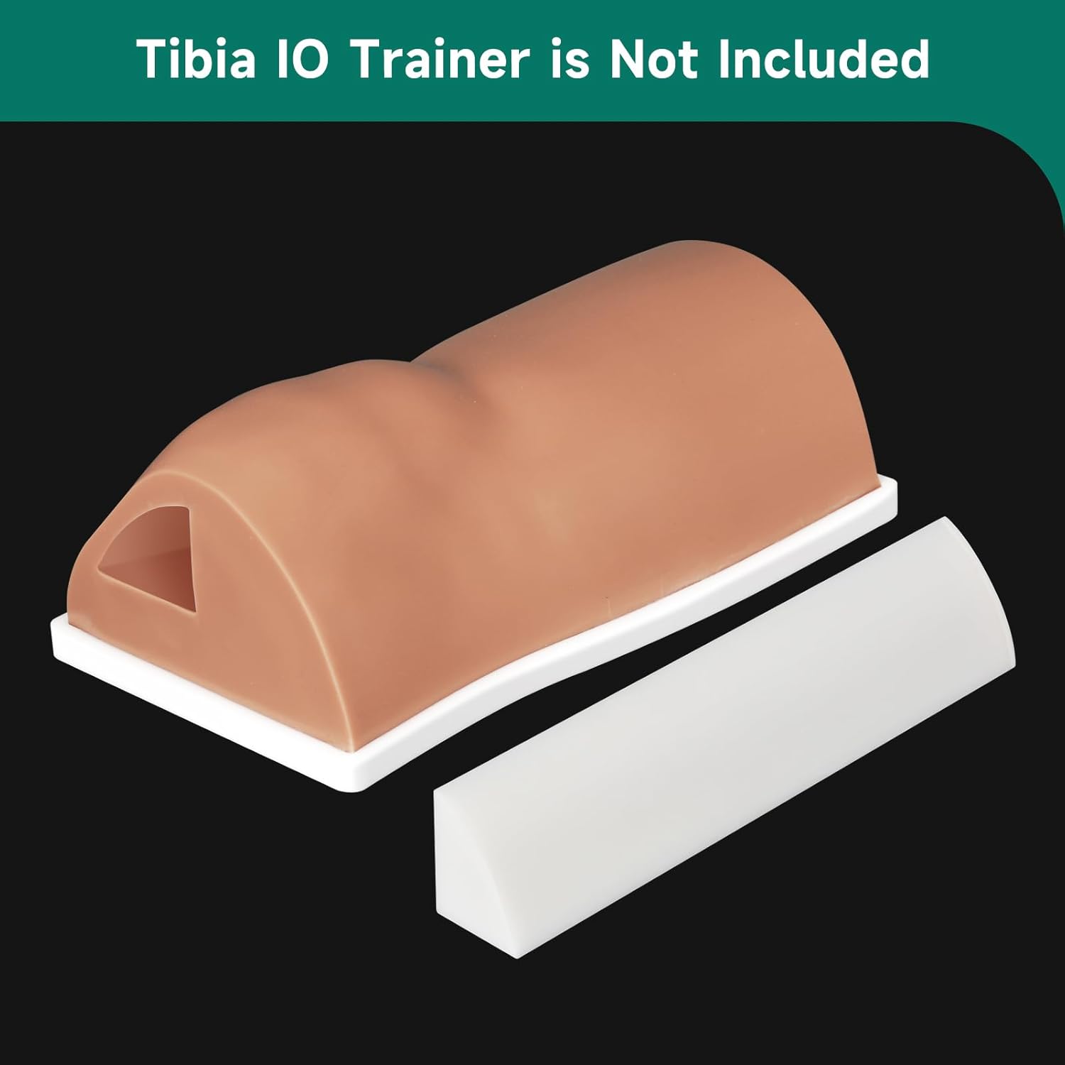 Tibia IO Access Training Model Inner Bone Detail View