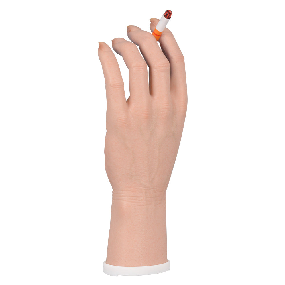 Tobacco Education Female Hand Model