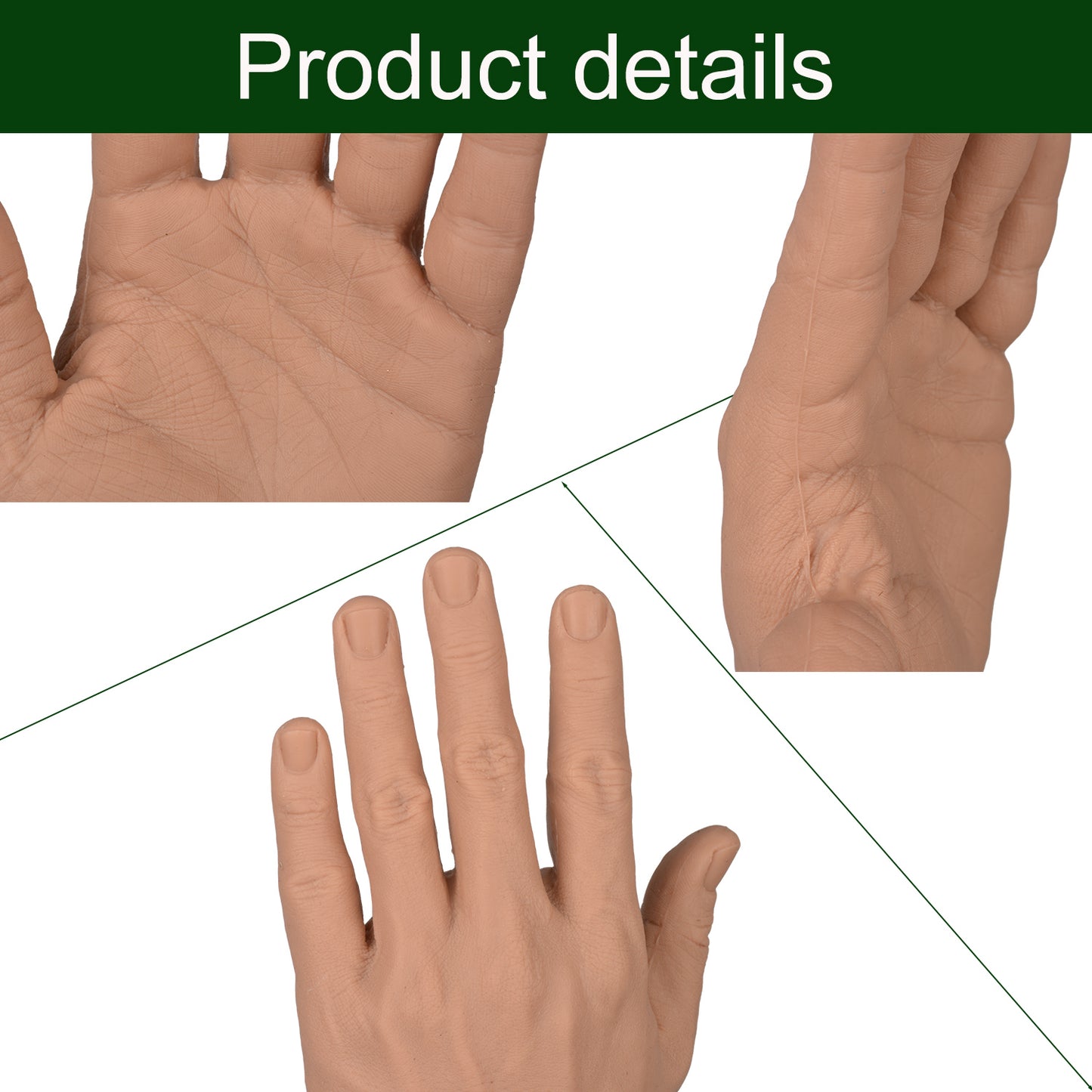 Training Arm Showing Suturing And Stapling Practice Areas