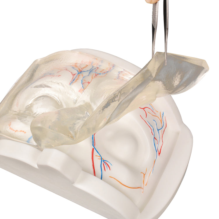 Transparent Eye Injection Practice Simulator