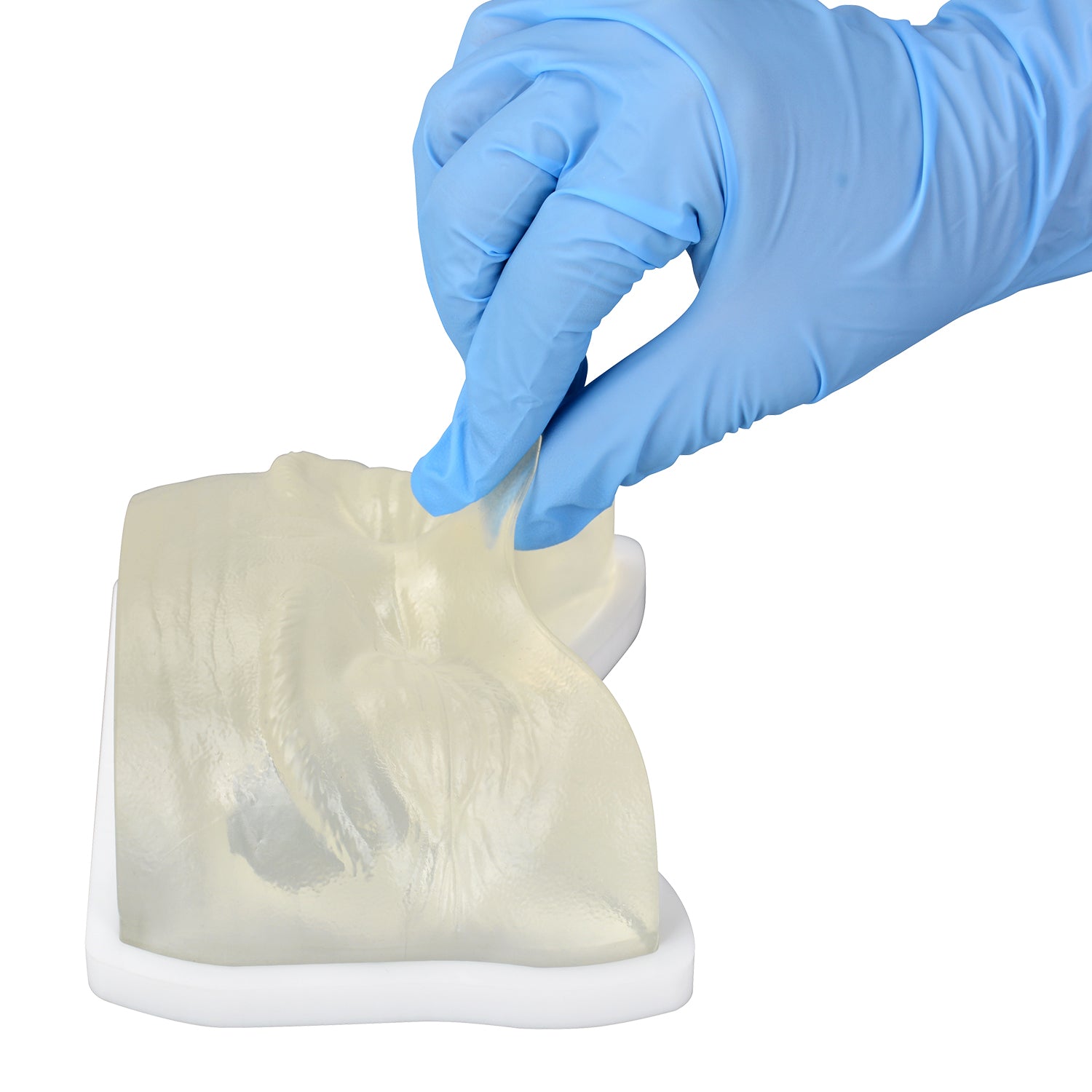 Transparent Facial Injection Eye Area Training Model