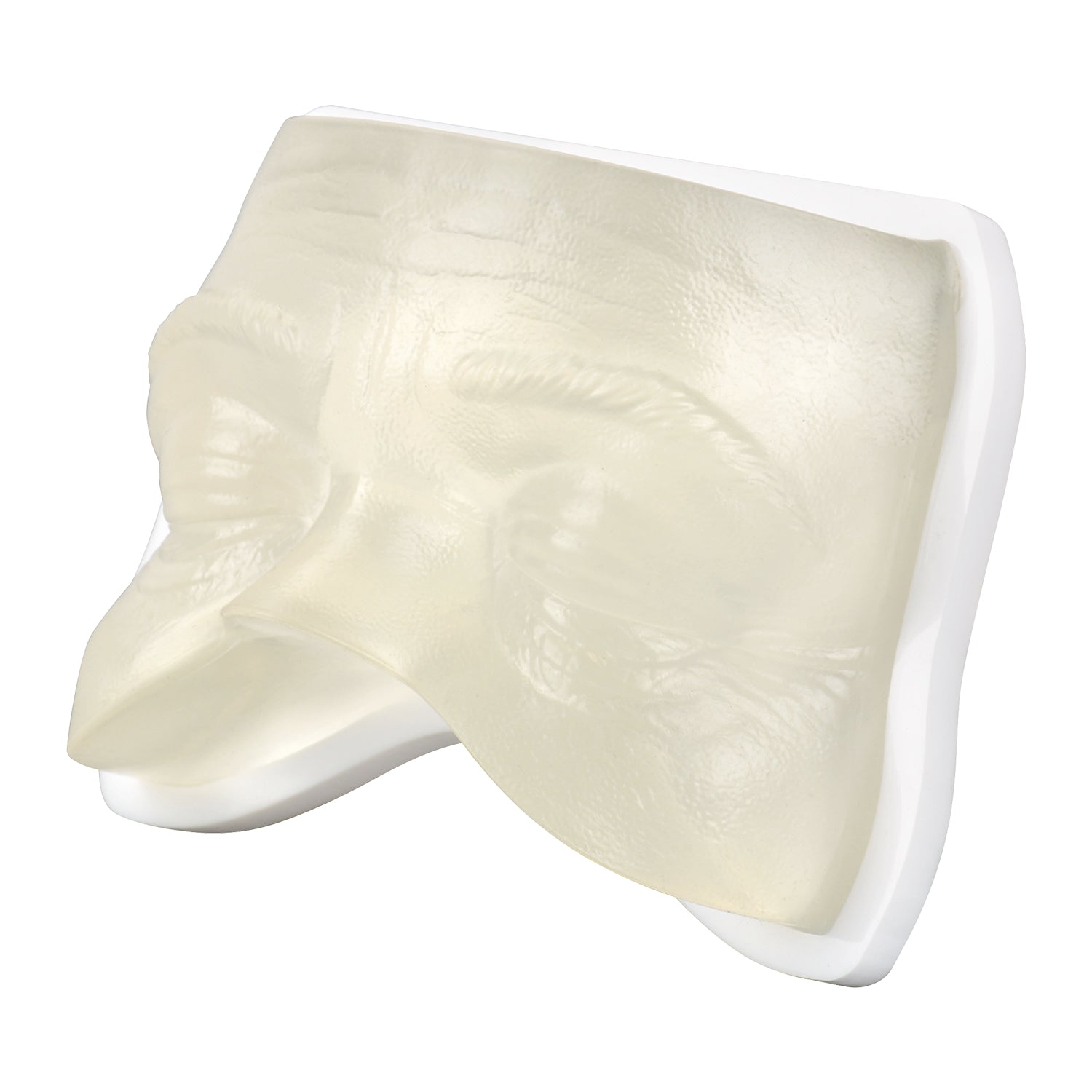 Transparent Facial Injection Eye Area Training Model