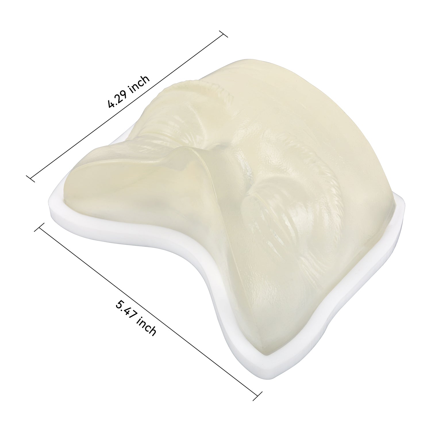 Transparent Facial Injection Eye Area Training Model