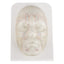 Transparent Full-Face Model For Aesthetic Injector Training