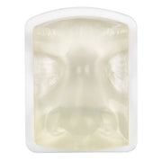 Transparent Nose Dermal Filler Injection Training Model