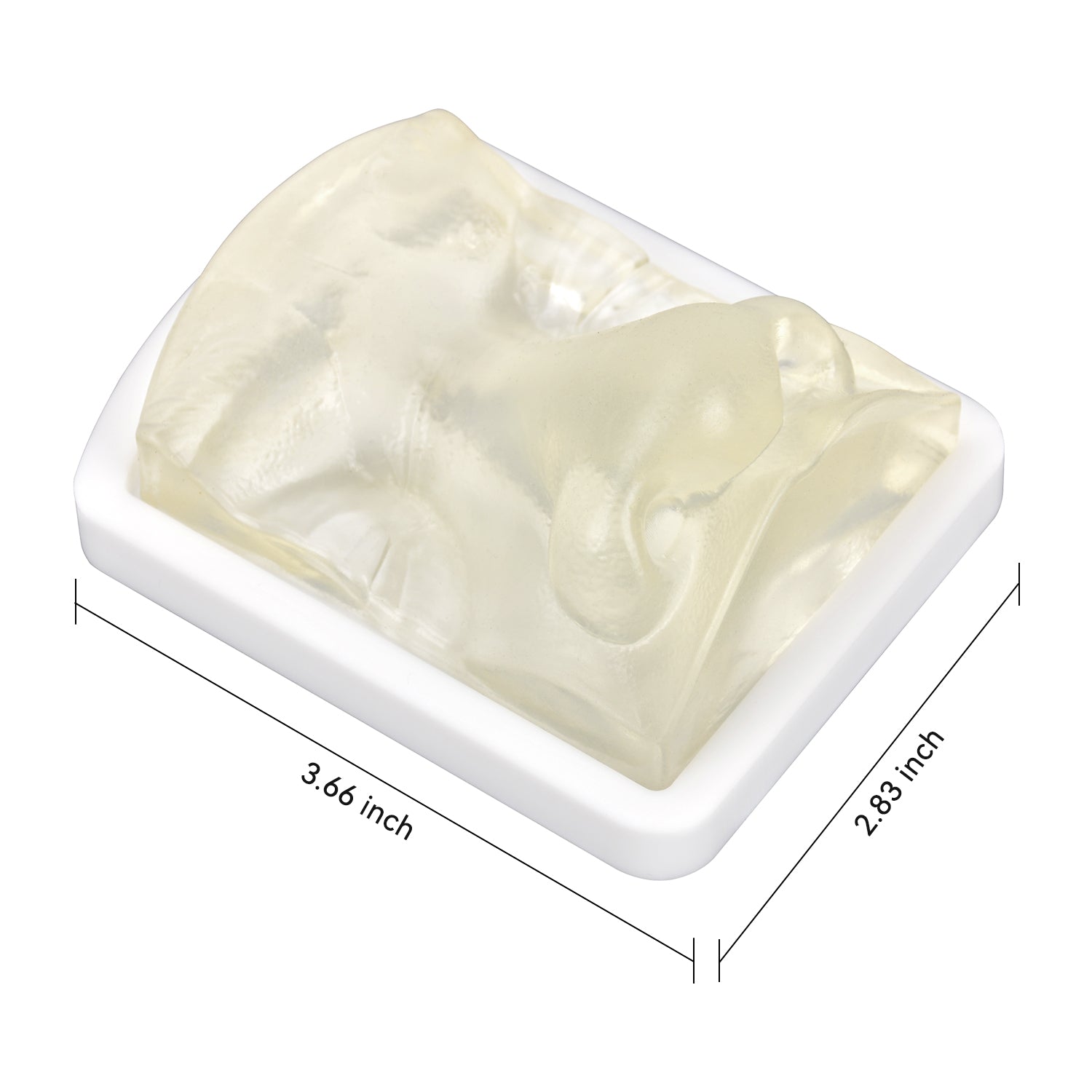 Transparent Nose Dermal Filler Injection Training Model