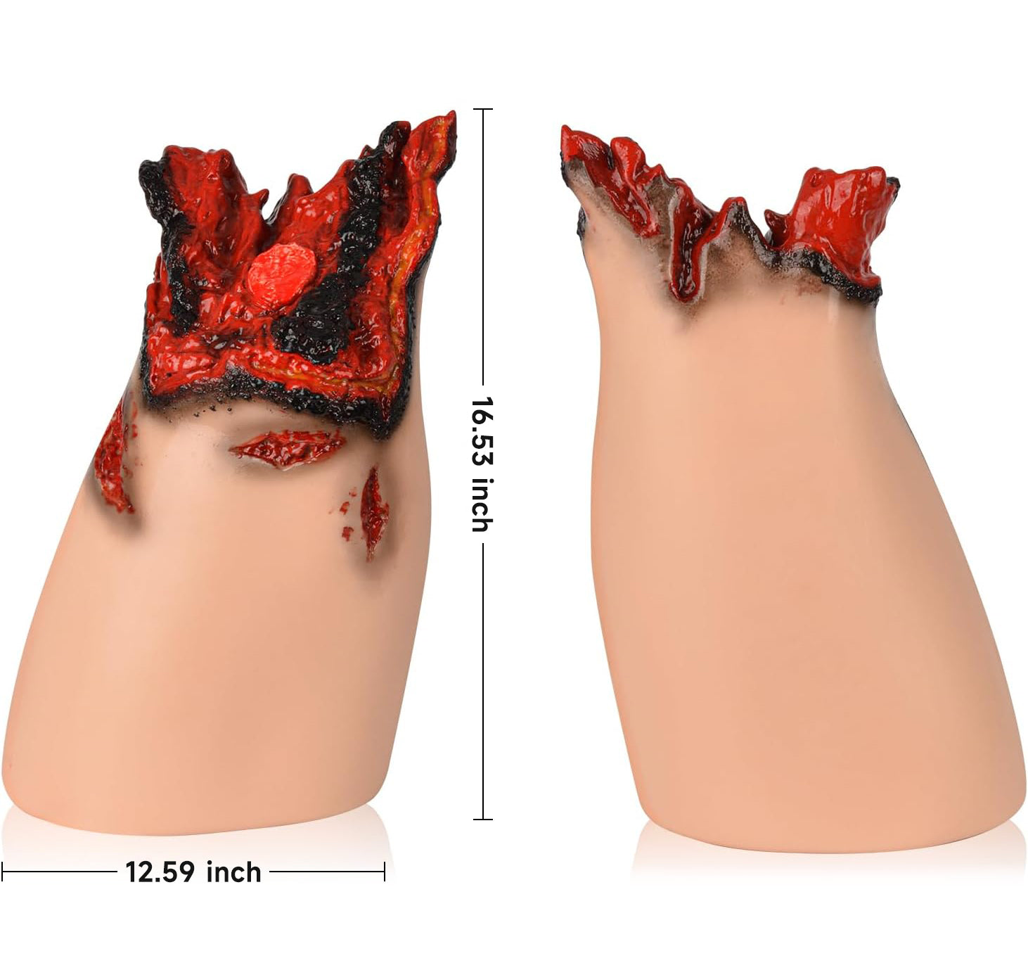 Traumatic Thigh Amputation Model Size Reference