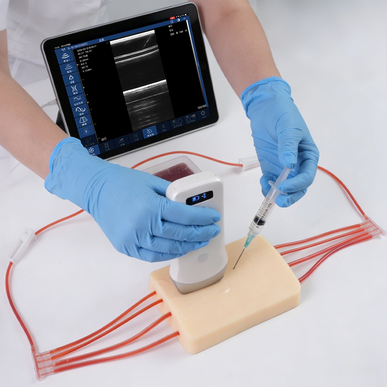Ultrasound Vascular Access Phantom for Out-Of-Plane Needle Guidance