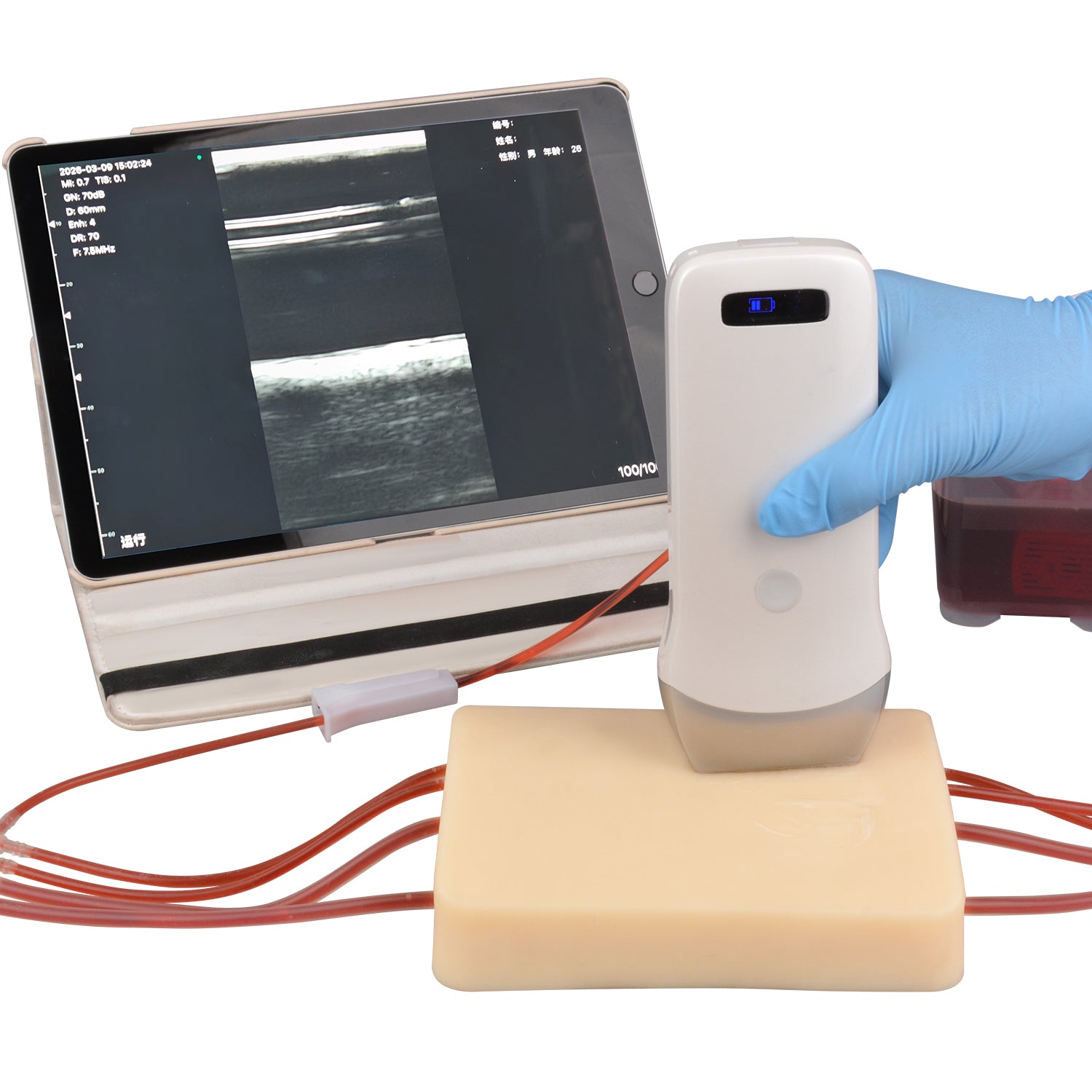 Ultrasound Vascular Access Phantom with Realistic Ultrasound Imaging