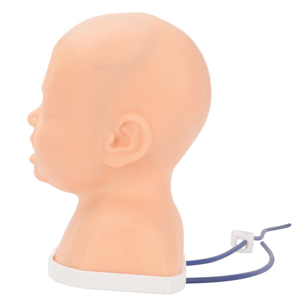 Upgraded Neonatal Scalp IV Trainer For Nurses