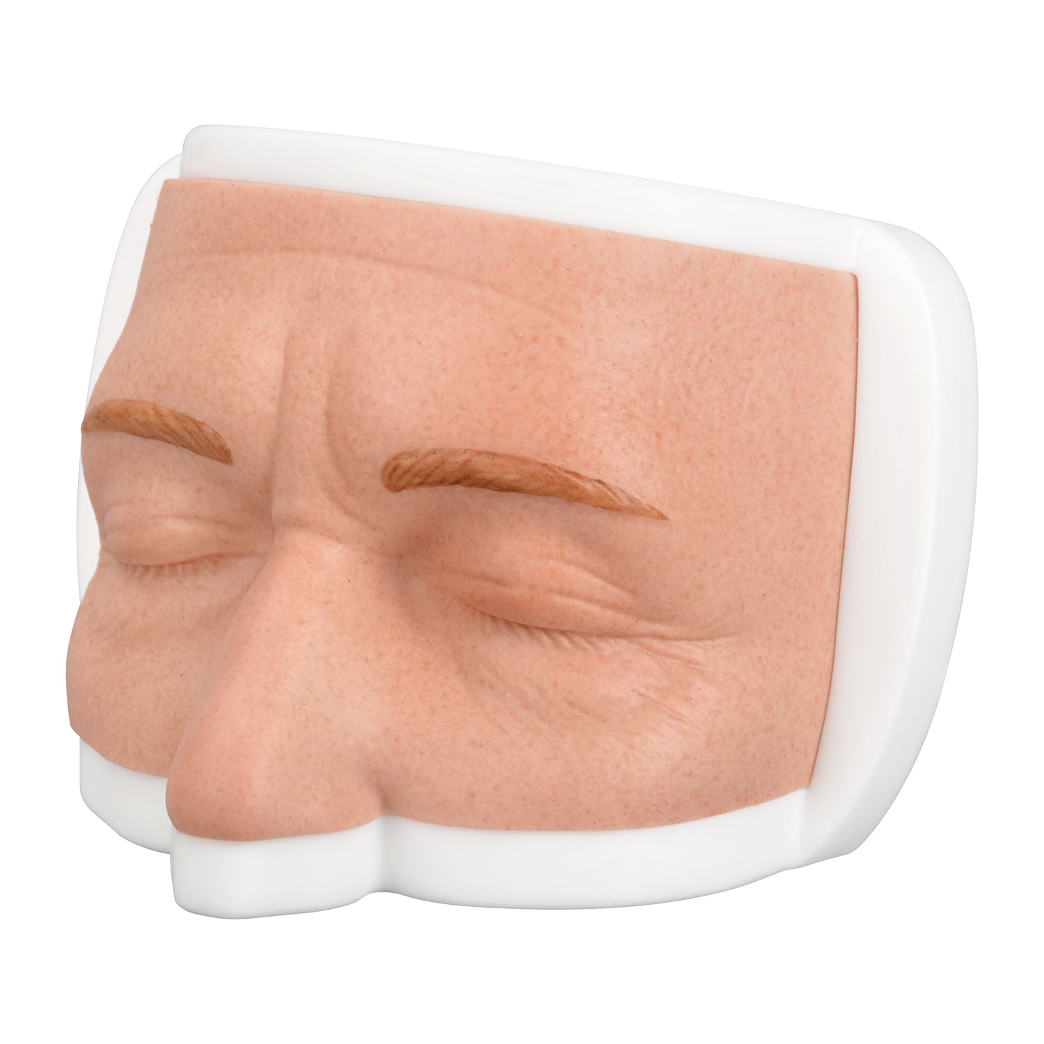Upper Face Dermal Filler Injection Practice Model in Natural Skin