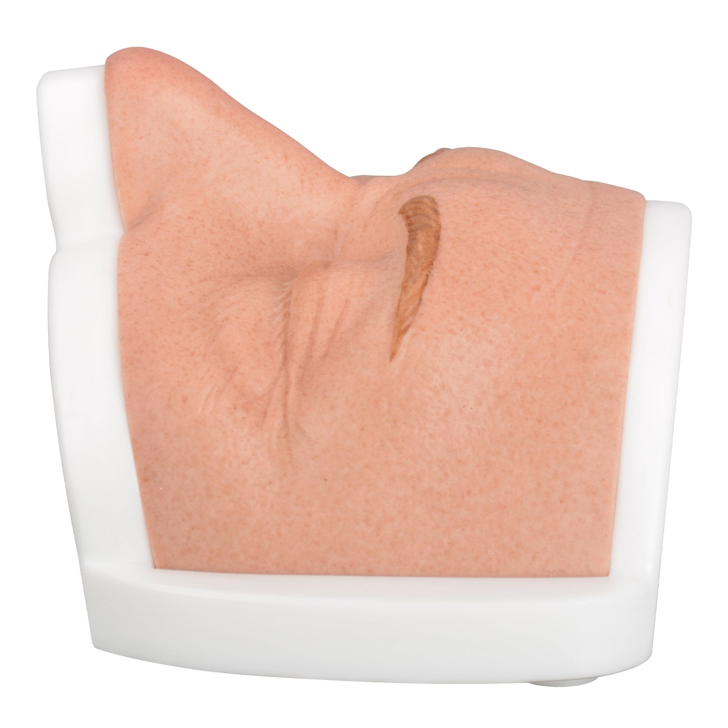 Upper Face Dermal Filler Injection Practice Model in Natural Skin