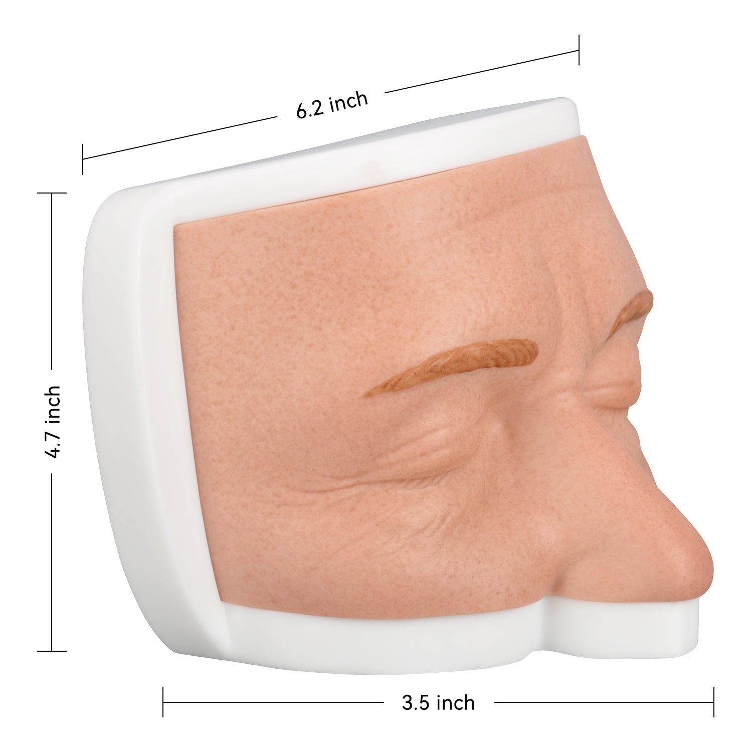 Upper Face Dermal Filler Injection Practice Model in Natural Skin