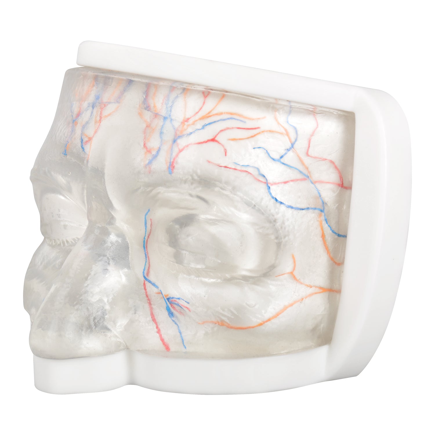Upper Face Injection Training Simulator with Visual Injection Feedback