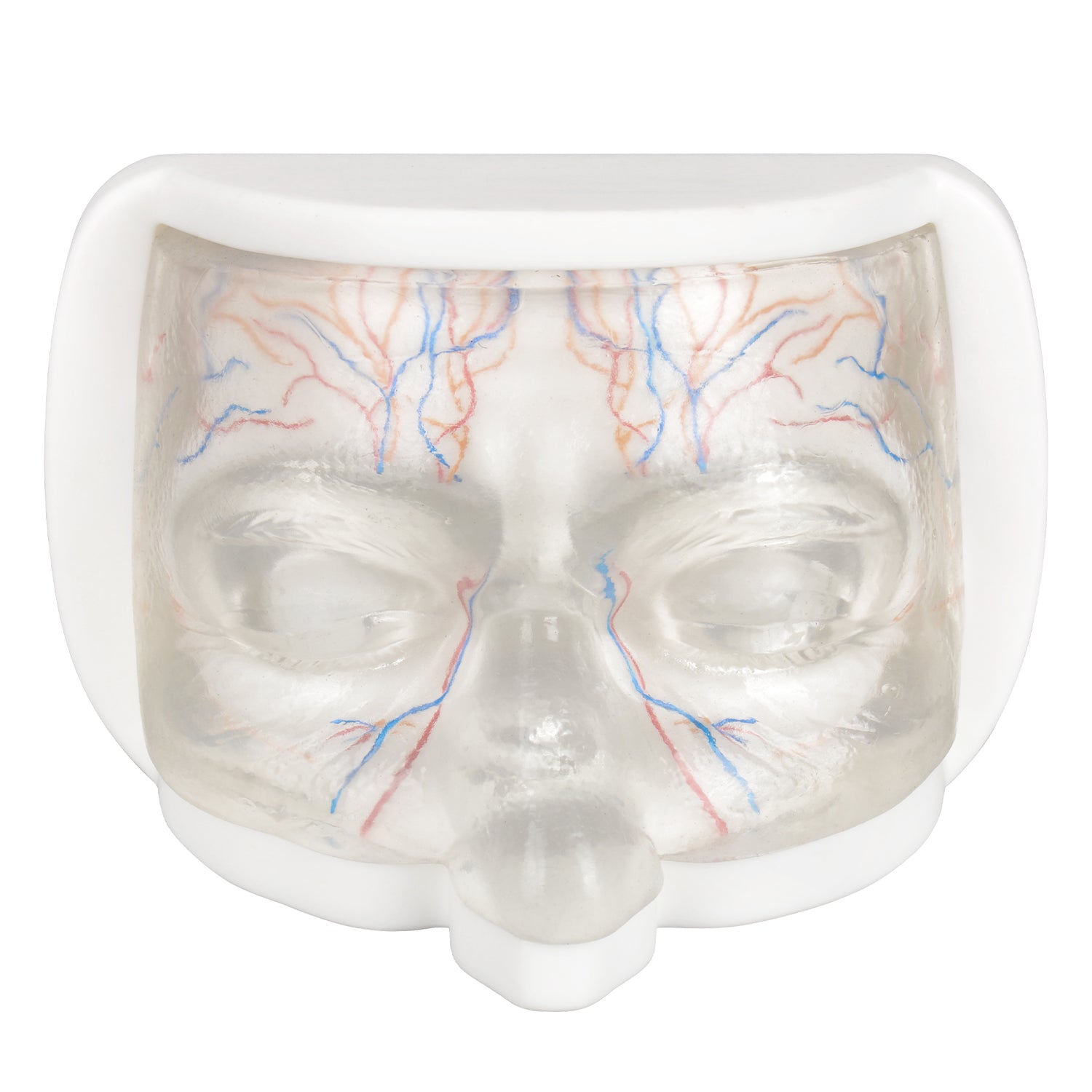 Upper Face Injection Training Simulator with Visual Injection Feedback