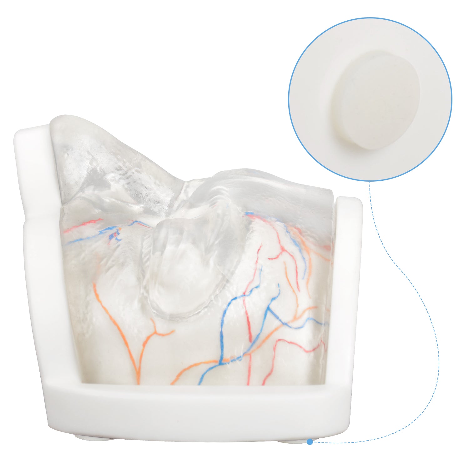Upper Face Injection Training Simulator with Visual Injection Feedback