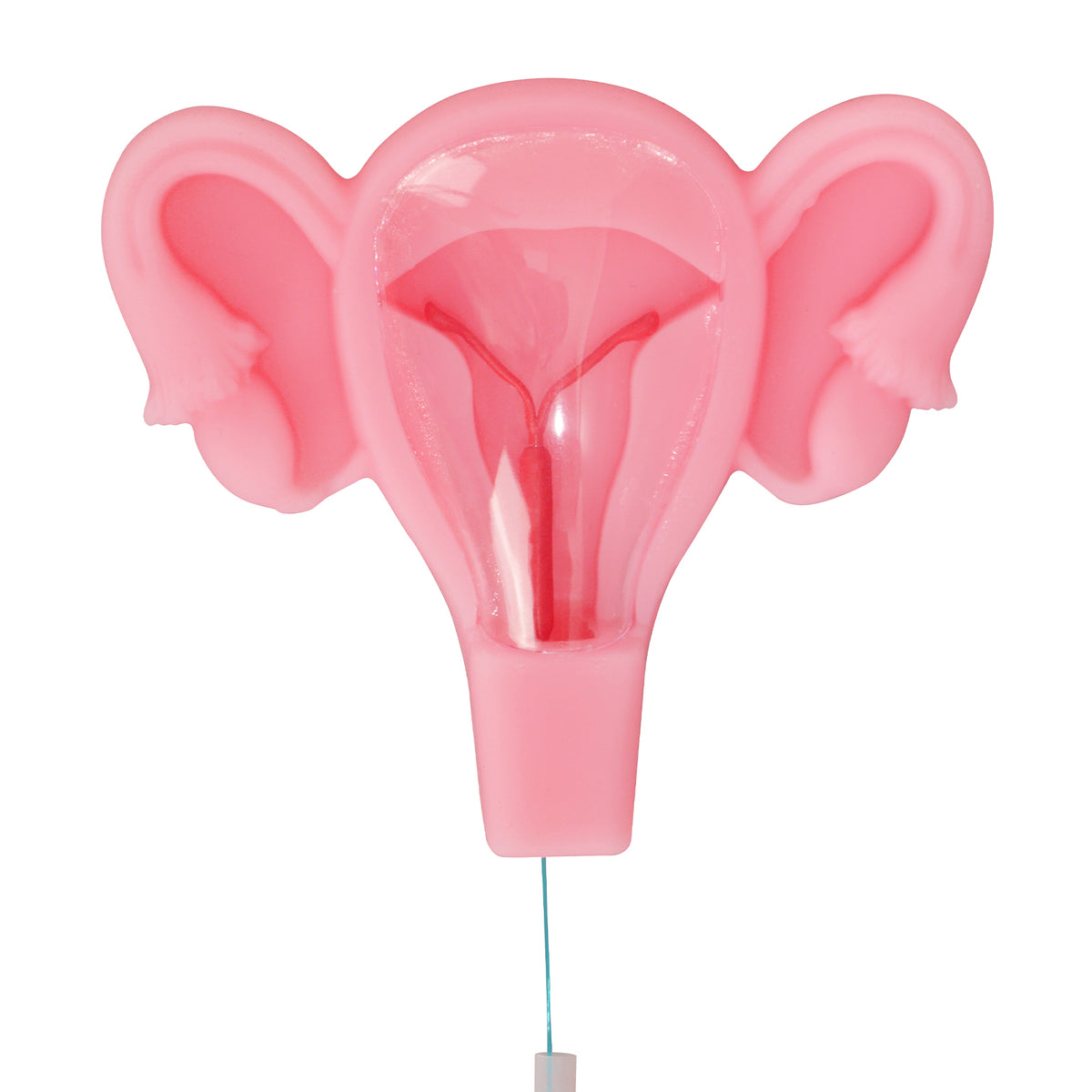 Uterus IUD Insertion Trainer