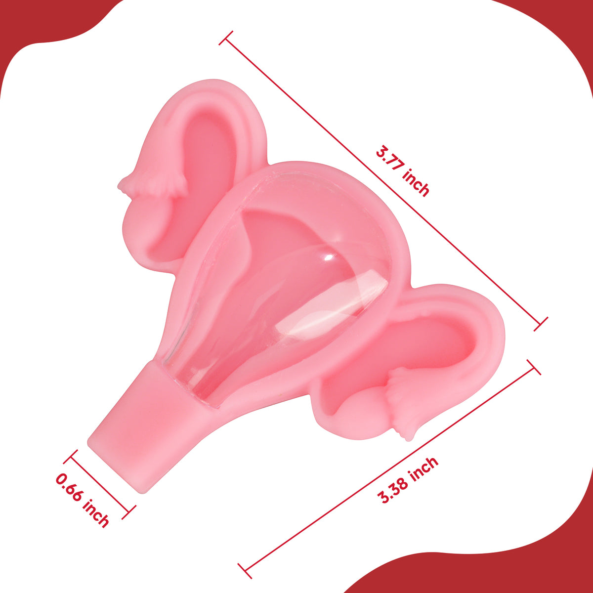 Uterus IUD Insertion Trainer