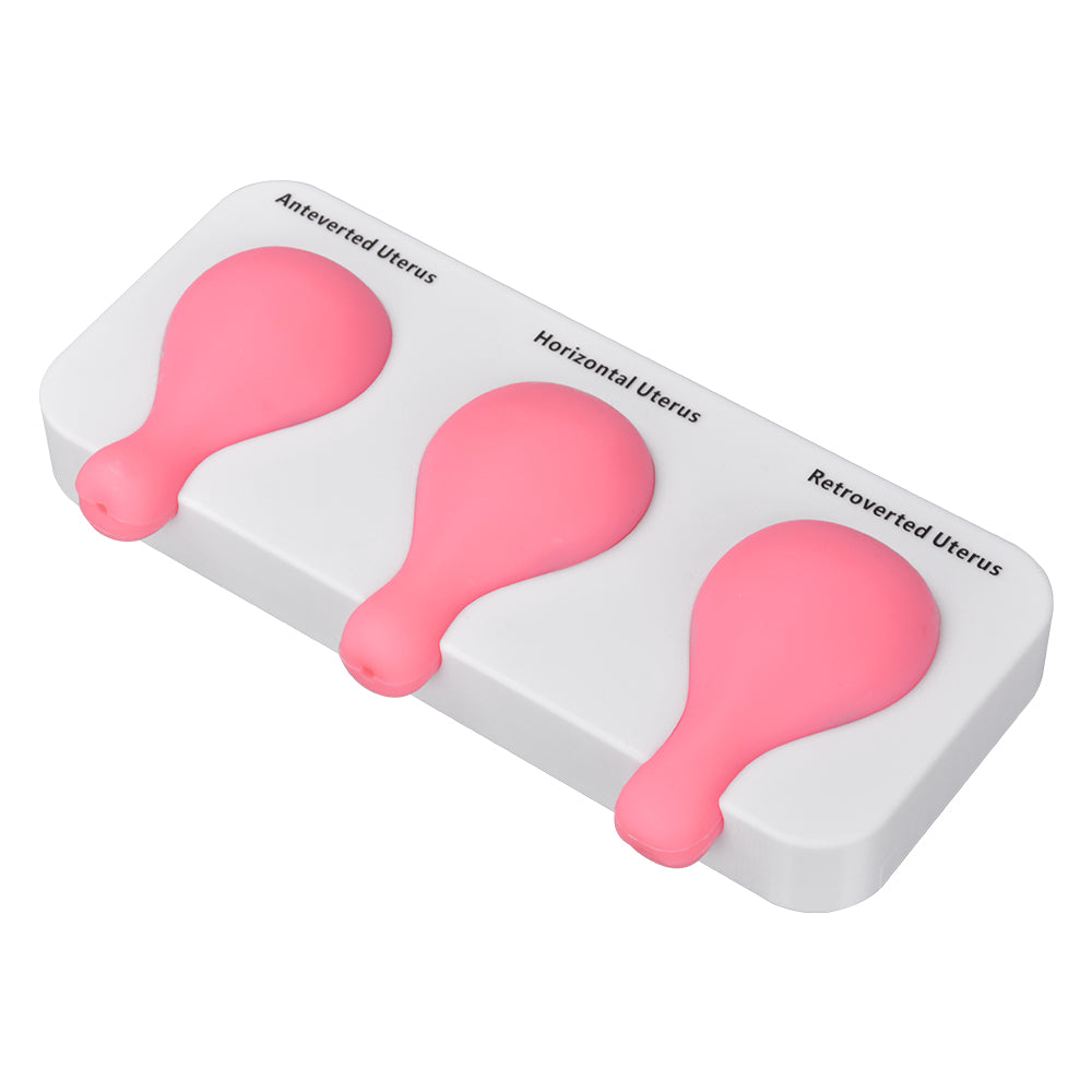 Vacuum Aspiration Techniques Training Model