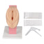 Vaginal and Pelvic Exam Training Model
