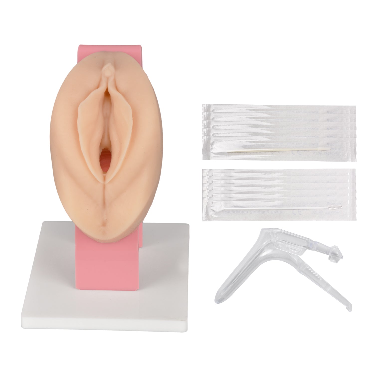 Vaginal and Pelvic Exam Training Model