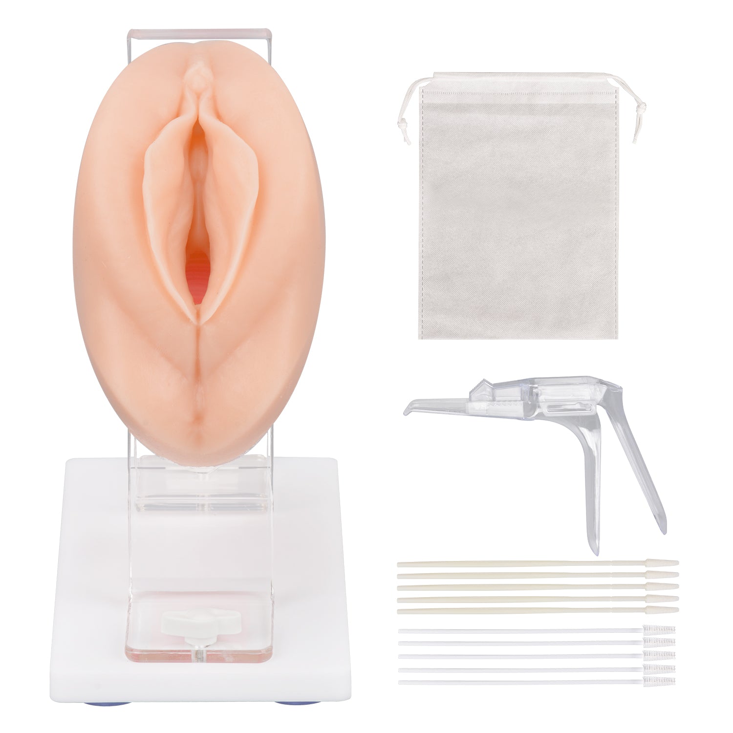 Vaginal and Pelvic Exam Training Simulator with Cervix