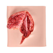 Wearable Skin Avulsion Wound Trainer