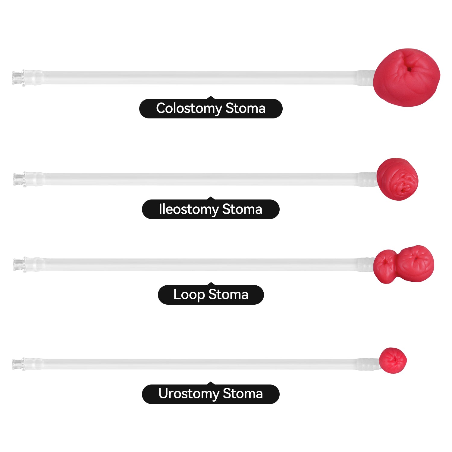 Wearable Multi-Stoma Ostomy Care Trainer Kit