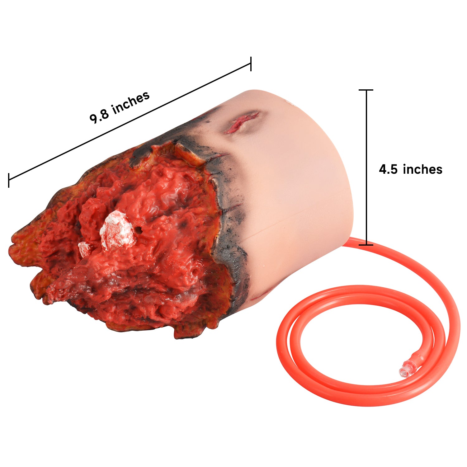 Wearable Severed Lower Limb Amputation Model Size