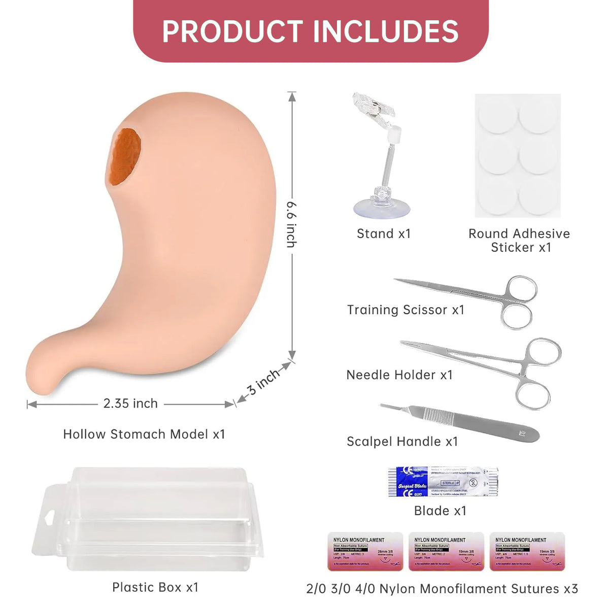 Gastric Suturing Trainer with Hollow Stomach Model