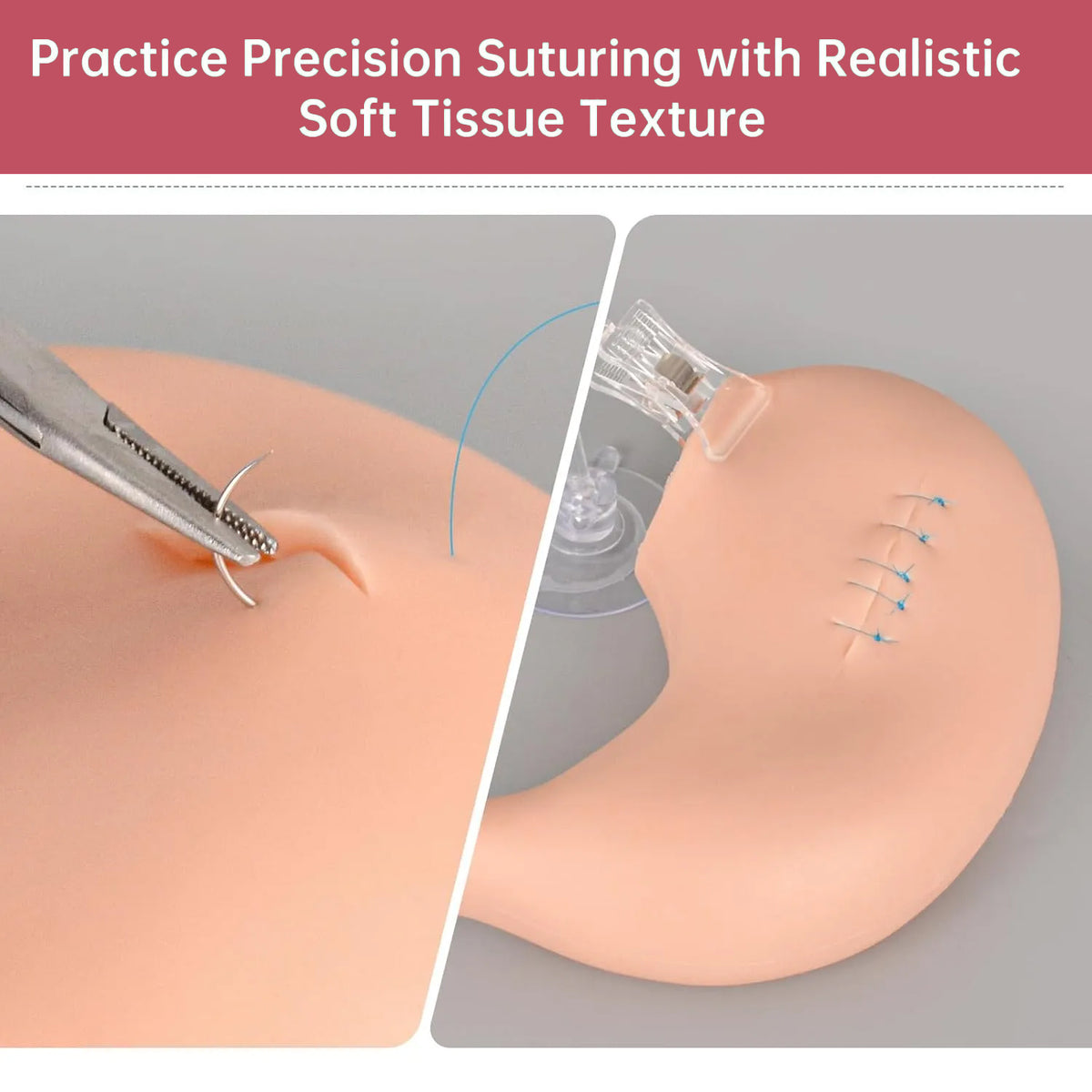 Gastric Suturing Trainer with Hollow Stomach Model